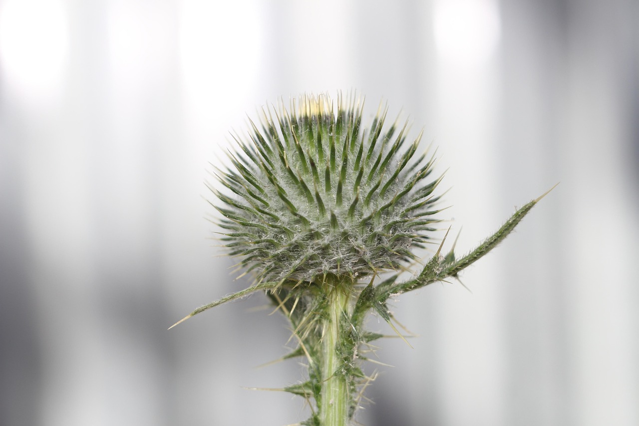 パンプスが脱げやすい原因と対処法は何ですか？