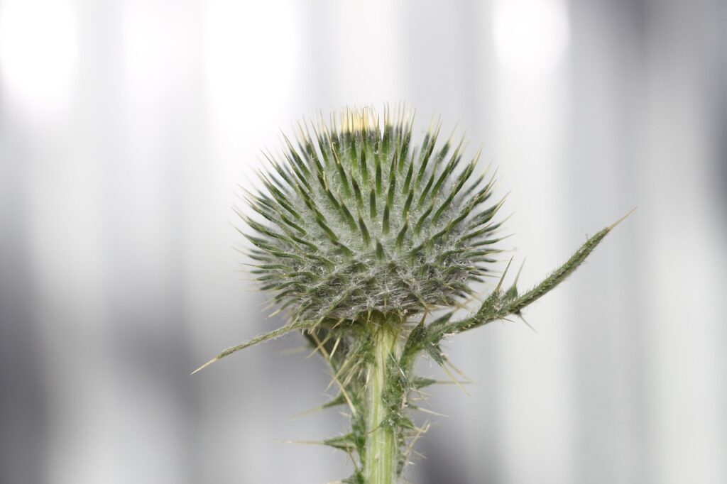 パンプスが脱げやすい原因と対処法を知っていますか？