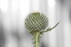 パンプスが脱げやすい原因と対処法を知っていますか？