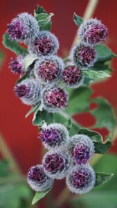 パンプスが脱げやすい時のシューズバンドの効果的な使い方は？