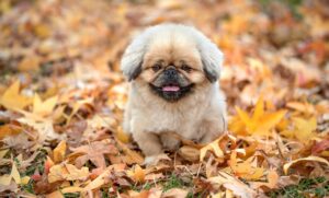 パンプスが脱げるときの応急処置はどうすればいい？