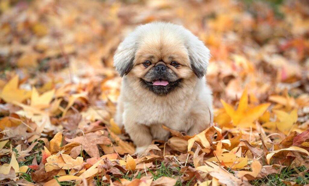 パンプスが脱げる理由と解決方法を徹底解説しますか？