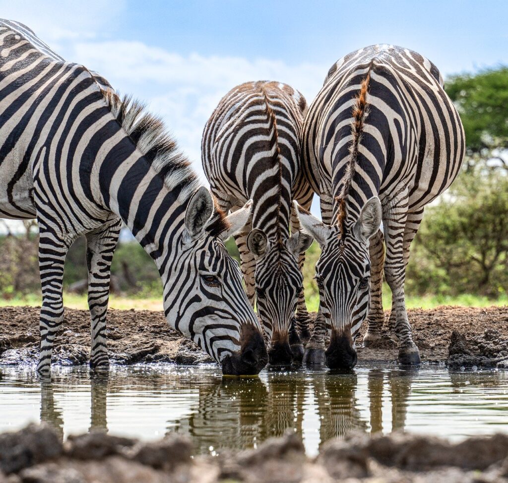 OLマナーで足元をチェックするポイントは？