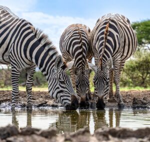 OLマナーで足元をチェックするポイントは？