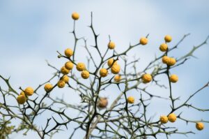 足湯は足の臭いにどのような効果があるのか？